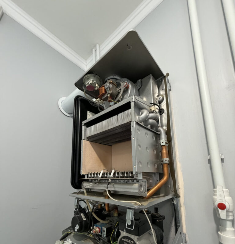 Открытый Protherm Lynx во время планового обслуживания