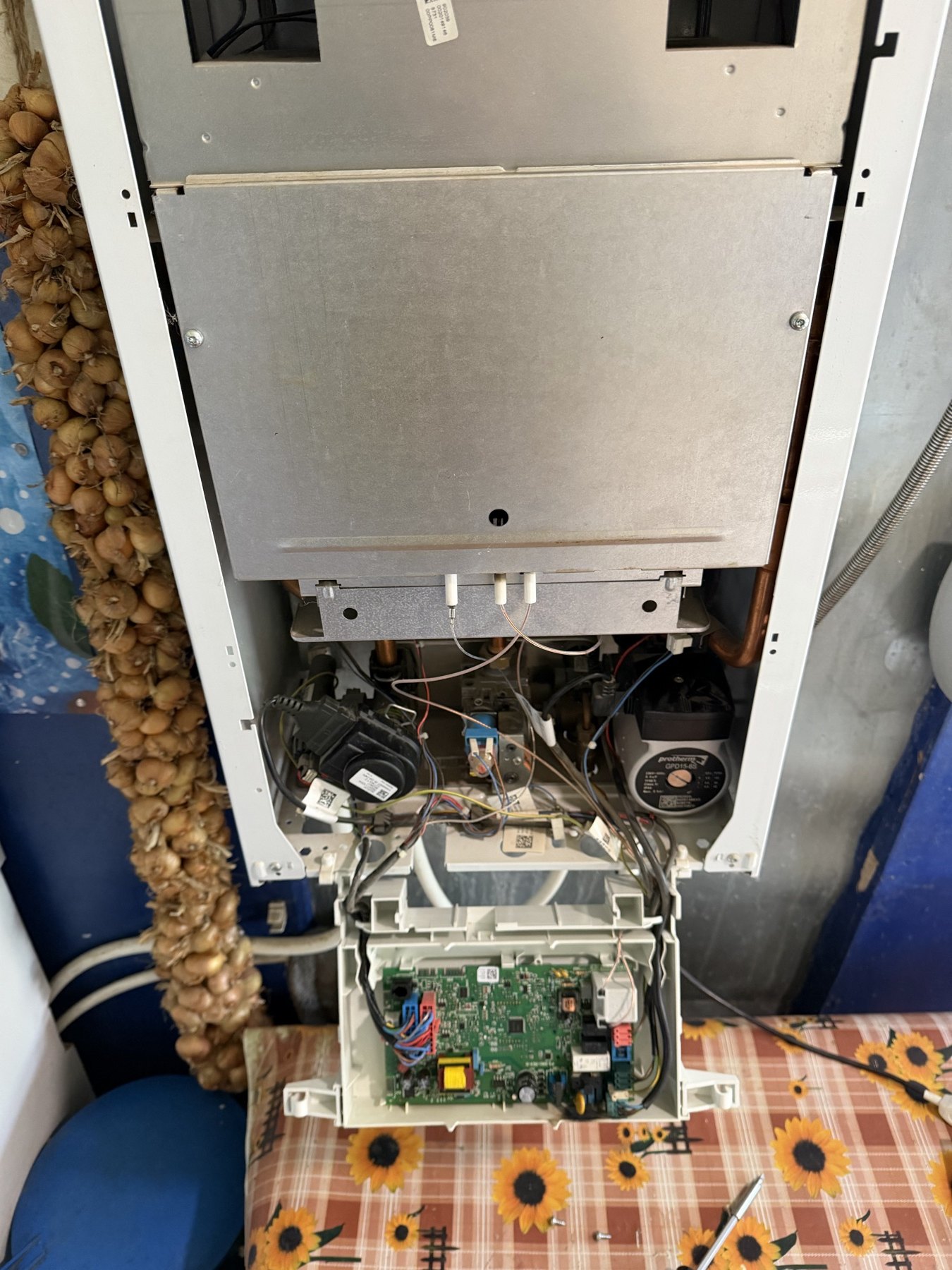 Открытый газовый котел Protherm Gepard при диагностике неисправности